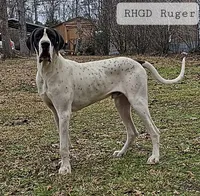 processed/82fa7fb2-662e-4f60-afb2-ccd82a9c4226/listing/ac06ea38-0178-4e7a-b755-1684b0d9988a/bddc6f6c-c60a-4911-98a3-ce103631d79b