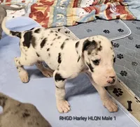 processed/82fa7fb2-662e-4f60-afb2-ccd82a9c4226/listing/ac06ea38-0178-4e7a-b755-1684b0d9988a/d2988bee-8419-4b6a-a251-277c3f254cdb