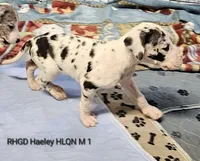 processed/82fa7fb2-662e-4f60-afb2-ccd82a9c4226/listing/ac06ea38-0178-4e7a-b755-1684b0d9988a/ffd3996e-ec61-4a31-88d8-97f03cf228eb