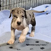 processed/82fa7fb2-662e-4f60-afb2-ccd82a9c4226/listing/c29e4d2d-1a48-4e57-8beb-4f1fc4c3739b/70cfc0b3-e666-43d1-b8e0-306f6b9acb37