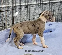 processed/82fa7fb2-662e-4f60-afb2-ccd82a9c4226/listing/c29e4d2d-1a48-4e57-8beb-4f1fc4c3739b/d2c7c7b7-5ded-45b4-a013-2a059f789f50