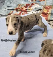 processed/82fa7fb2-662e-4f60-afb2-ccd82a9c4226/listing/d2c5e334-d747-47a2-a6e6-7d9e0698cf87/99562020-8b0f-4d73-9846-37dc53615b8e