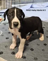 processed/82fa7fb2-662e-4f60-afb2-ccd82a9c4226/listing/f88e3e6c-c345-4063-9f18-1dbc2a8b3860/2cf184f5-b052-44af-85f9-e0c7dadf75c2