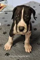 processed/82fa7fb2-662e-4f60-afb2-ccd82a9c4226/listing/f88e3e6c-c345-4063-9f18-1dbc2a8b3860/b8baeeb9-d0be-4836-8e97-596a9382faa2