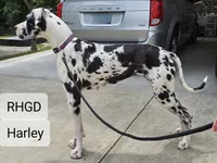 processed/82fa7fb2-662e-4f60-afb2-ccd82a9c4226/listing/fce222db-3ee5-4f51-b2dd-910c35ae706f/36bf1b68-4a9d-45f7-bcc5-1fbf25186a2c