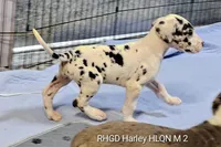 processed/82fa7fb2-662e-4f60-afb2-ccd82a9c4226/listing/fce222db-3ee5-4f51-b2dd-910c35ae706f/7c028d22-ce2e-4545-a4bc-b42e9d59f889