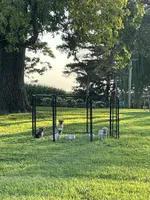 processed/82ff1839-8d3a-4974-b7a4-44545777db2e/facility/5cb9d990-6563-4a8b-9c72-0daa4b8f9d7f