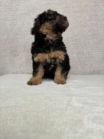 processed/82ff1839-8d3a-4974-b7a4-44545777db2e/listing/3c02bbe3-c1a9-4e64-b322-ae11abed4369/084878fc-523e-4c5f-85fe-b4f03df4b974