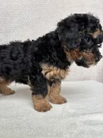 processed/82ff1839-8d3a-4974-b7a4-44545777db2e/listing/3c02bbe3-c1a9-4e64-b322-ae11abed4369/268ec459-f2fb-4a45-a84b-8e1ab5280cda