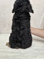 processed/82ff1839-8d3a-4974-b7a4-44545777db2e/listing/3c02bbe3-c1a9-4e64-b322-ae11abed4369/65b27a28-626e-484b-8e63-d7479b5764c4