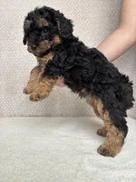 processed/82ff1839-8d3a-4974-b7a4-44545777db2e/listing/3c02bbe3-c1a9-4e64-b322-ae11abed4369/6cc0f53b-9718-4c07-a756-77d6c224254e