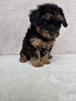 processed/82ff1839-8d3a-4974-b7a4-44545777db2e/listing/3c02bbe3-c1a9-4e64-b322-ae11abed4369/cf23bd9c-abbc-43dd-8835-16d35d1448c5