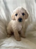 processed/82ff1839-8d3a-4974-b7a4-44545777db2e/listing/67e6c706-0df5-4788-bf31-a00184c1f628/49f9d65a-ef1f-4bf3-96fb-fe0e338f9c75