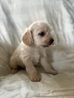 processed/82ff1839-8d3a-4974-b7a4-44545777db2e/listing/67e6c706-0df5-4788-bf31-a00184c1f628/9e31b491-3351-4671-b72e-fcceac7d7482