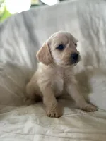 processed/82ff1839-8d3a-4974-b7a4-44545777db2e/listing/67e6c706-0df5-4788-bf31-a00184c1f628/d646a111-0ac3-4442-bbf4-ff0b61eee583