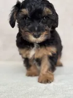 processed/82ff1839-8d3a-4974-b7a4-44545777db2e/listing/703a91d2-29c0-425e-8f12-73914c572847/749f8328-ad2e-408c-a211-95e420f5afde