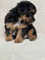 processed/82ff1839-8d3a-4974-b7a4-44545777db2e/listing/703a91d2-29c0-425e-8f12-73914c572847/a678070c-8e3a-4bde-9ed6-5a08eb40efe2