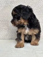 processed/82ff1839-8d3a-4974-b7a4-44545777db2e/listing/703a91d2-29c0-425e-8f12-73914c572847/ca779da3-a515-4cca-9567-c4f74a8b9f95