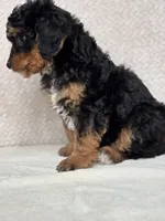 processed/82ff1839-8d3a-4974-b7a4-44545777db2e/listing/8c52bcd9-5c2e-467b-9753-d08f904d8022/2bf19e8b-5782-4141-a7d5-0b90c0389113