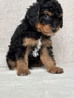 processed/82ff1839-8d3a-4974-b7a4-44545777db2e/listing/8c52bcd9-5c2e-467b-9753-d08f904d8022/94c38ccb-615f-4b17-8a33-85b0d29a8731