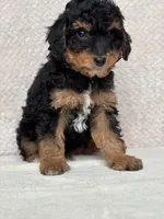 processed/82ff1839-8d3a-4974-b7a4-44545777db2e/listing/8c52bcd9-5c2e-467b-9753-d08f904d8022/cd596a4c-04af-4708-9703-a30845f20830