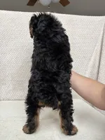 processed/82ff1839-8d3a-4974-b7a4-44545777db2e/listing/8c52bcd9-5c2e-467b-9753-d08f904d8022/e3e011f4-5ad3-47bd-8e41-4b817504dbb6