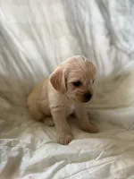 processed/82ff1839-8d3a-4974-b7a4-44545777db2e/listing/d04ade3f-b987-44da-ab1d-5e16d6283f6c/4268da80-746d-4be1-aaa9-c5b9b1042ef8