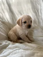 processed/82ff1839-8d3a-4974-b7a4-44545777db2e/listing/d04ade3f-b987-44da-ab1d-5e16d6283f6c/b34b17a8-41e9-4646-a0f6-1774dd1ca0fa