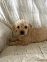 processed/82ff1839-8d3a-4974-b7a4-44545777db2e/listing/f941535d-ee55-44b3-95dd-b23cdb1496ff/46b48ad9-8e61-4906-9213-36d1238b5feb