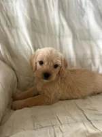 processed/82ff1839-8d3a-4974-b7a4-44545777db2e/listing/f941535d-ee55-44b3-95dd-b23cdb1496ff/fcd11bf6-f96e-4724-93a9-f36289d695c9