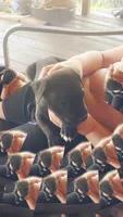 Blacky, a male American Bully for sale in Walterboro, SC – 4 of 4