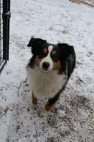 processed/83181846-e197-4625-ac13-5c1d093d9cde/listing/1dd2482f-41de-4304-ba26-caf15f036430/604307b9-b960-42c3-be7b-e81e83b41275