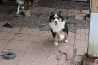 processed/83181846-e197-4625-ac13-5c1d093d9cde/listing/1dd2482f-41de-4304-ba26-caf15f036430/9b893fb0-755a-40f1-b345-728c9db9990a