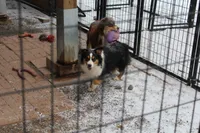 processed/83181846-e197-4625-ac13-5c1d093d9cde/listing/1dd2482f-41de-4304-ba26-caf15f036430/e999fdd1-1fcd-4a44-9ffc-1e4de16ffc63