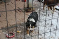 processed/83181846-e197-4625-ac13-5c1d093d9cde/listing/1dd2482f-41de-4304-ba26-caf15f036430/ee4e7ba7-2f18-47fc-876d-ae87d39f5772