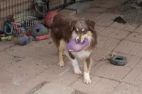 processed/83181846-e197-4625-ac13-5c1d093d9cde/listing/2af088de-436b-491f-b71b-3f6cb1b4ce40/083d1acd-fcb0-43f1-b681-e85570bd7e5d