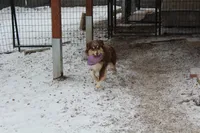 processed/83181846-e197-4625-ac13-5c1d093d9cde/listing/2af088de-436b-491f-b71b-3f6cb1b4ce40/6ce192e2-295c-4a54-9189-0db65f3b7c1f