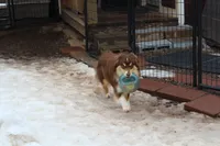 processed/83181846-e197-4625-ac13-5c1d093d9cde/listing/2af088de-436b-491f-b71b-3f6cb1b4ce40/78014eb1-1164-4b85-807e-f6c792abf37f