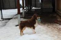 processed/83181846-e197-4625-ac13-5c1d093d9cde/listing/2af088de-436b-491f-b71b-3f6cb1b4ce40/cc342d7e-c72c-4945-9906-29440adeffe2