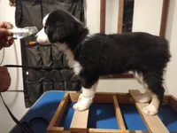 processed/83181846-e197-4625-ac13-5c1d093d9cde/listing/828c0aaa-1446-42e6-9a7f-4145cfa7e337/5fe7fbae-2e64-4d13-9d2d-5d5ba0f92c60