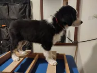 processed/83181846-e197-4625-ac13-5c1d093d9cde/listing/828c0aaa-1446-42e6-9a7f-4145cfa7e337/c0af8158-fd75-41d1-b466-44e9b5d0c4d4