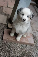 processed/83181846-e197-4625-ac13-5c1d093d9cde/listing/d56ce04b-9fef-485c-8886-638c7e48ae28/106c7e7f-47bb-4101-a48c-183d96137fa0