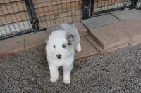 processed/83181846-e197-4625-ac13-5c1d093d9cde/listing/d56ce04b-9fef-485c-8886-638c7e48ae28/1d59fdfa-fd8b-487a-b243-eec5231b83ce