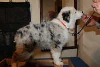 processed/83181846-e197-4625-ac13-5c1d093d9cde/listing/d56ce04b-9fef-485c-8886-638c7e48ae28/90718603-5031-45b8-89ac-0f4abe0601fb