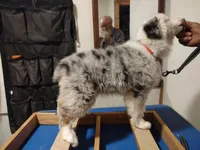 processed/83181846-e197-4625-ac13-5c1d093d9cde/listing/d56ce04b-9fef-485c-8886-638c7e48ae28/dacd90c0-bafc-4ba3-adf2-6994196accf3