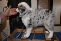 processed/83181846-e197-4625-ac13-5c1d093d9cde/listing/d56ce04b-9fef-485c-8886-638c7e48ae28/db2fcbb8-7c66-4902-9805-f3e83bf18fab