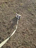 processed/83191d22-575e-472b-99c2-a4dfcb375e18/listing/5cc433b3-f06b-4569-8ed1-52afd9a59668/309e0b41-8293-436e-b6f7-d39f86f9b716