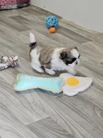 processed/83191d22-575e-472b-99c2-a4dfcb375e18/listing/5cc433b3-f06b-4569-8ed1-52afd9a59668/9c393169-55cb-4d07-86e0-df96a7e6b7f5