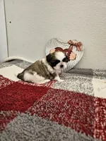 processed/83191d22-575e-472b-99c2-a4dfcb375e18/listing/5cc433b3-f06b-4569-8ed1-52afd9a59668/d9a30c58-e77b-47bc-b16f-285b2861aaab