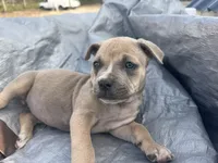 processed/83287ecb-e25d-4592-914c-a892bb2b2f79/listing/0e04b58b-f48f-4550-9c3d-0c489e526cc6/54f9d8aa-d034-46ab-96a3-587786d33c04